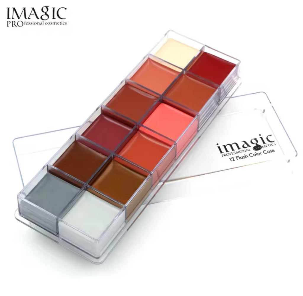 IMAGIC 12-Color Flash Case: Lipstick & Body Paint Palette