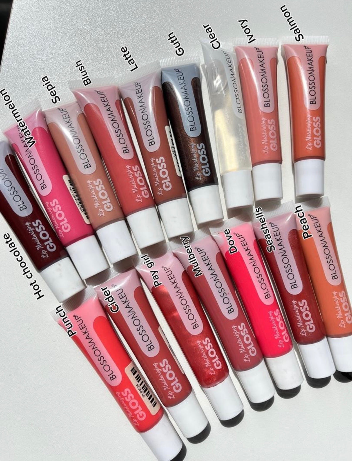 Blossom Makeup Moisturizing Lipgloss