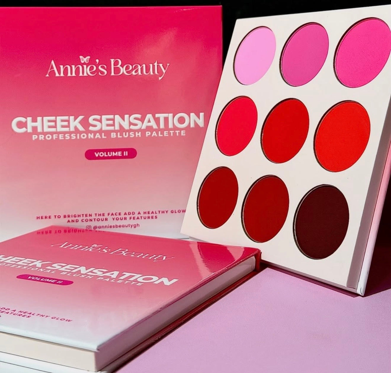 Annie’s Beauty CHEEK SENSATION 9-Color Blush Palette (Vol II)